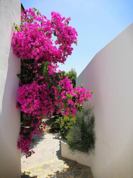 루카이네나데라토레스 Casa Jardin. Vivienda Rural En Zona Tranquila. 빌라 외부 사진