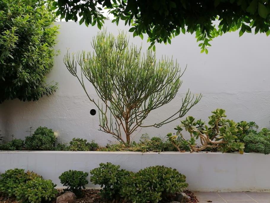 루카이네나데라토레스 Casa Jardin. Vivienda Rural En Zona Tranquila. 빌라 외부 사진